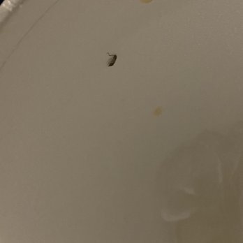 China Cafeteria - Bug in cup - Chinese Near Me - Atlanta, Georgia China Cafeteria - Bug in cup - Chinese Near Me - Atlanta, Georgia