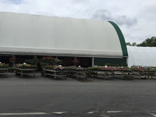 Waynes Country Market