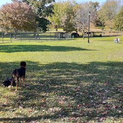 Pekin Park District
