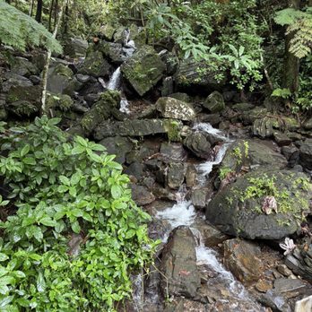 El Yunque Rainforest - Creek - Hiking Near Me - Luquillo, Puerto Rico El Yunque Rainforest - Creek - Hiking Near Me - Luquillo, Puerto Rico