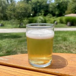 Fox Farm Brewery - "Leeway: Green Tea" (Gose-Inspired Farmhouse Ale)