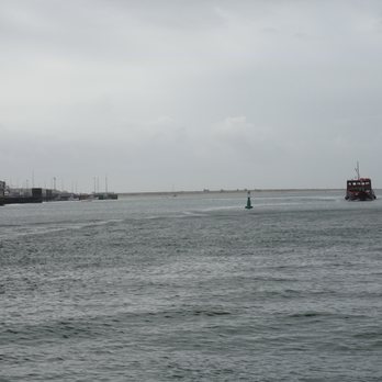 Tomaz do Douro - Tomaz do Douro - Boat Tours Near Me - Porto, 13