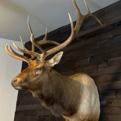 TC Wildlife Designs