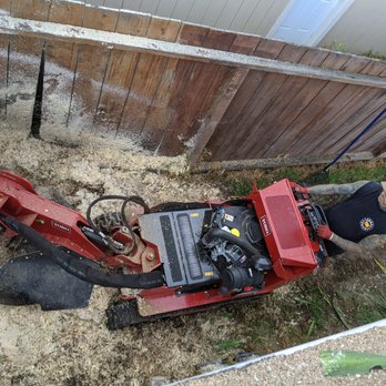 Tree Mechanics - Tree Services Near Me