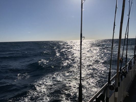 DOLPHIN DOCK - 130 Photos & 113 Reviews - Fishing - 300 W Cotter Ave