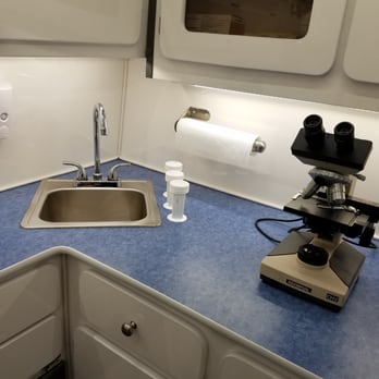 HousePaws Austin - Veterinarians Near Me