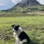 Photo of Gunnison Valley Veterinary Clinic