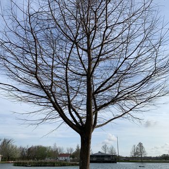 Poche's Rv Park - RV Parks Near Me - Breaux Bridge, Louisiana