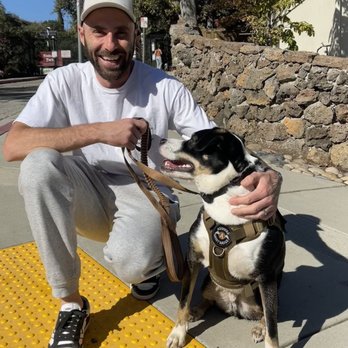 Freakin Pawsome - Pet Training Near Me Freakin Pawsome - Pet Training Near Me