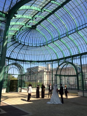 Royal Greenhouses of Laeken by null