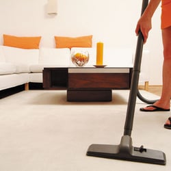 Domestic Cleaning