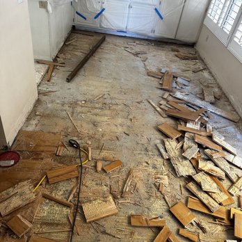 Leon Flooring Covering - Water damage Glued down down floor  removal - Flooring Near Me