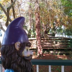 Evangeline Oak Park