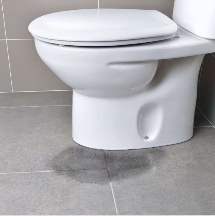 Slide of Aqueduct Plumbing