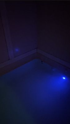 Halcyon Floats by null