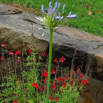 MRZ Contracting - Landscape Architects or Designers Near Me - Lewisville, Texas MRZ Contracting - Landscape Architects or Designers Near Me - Lewisville, Texas