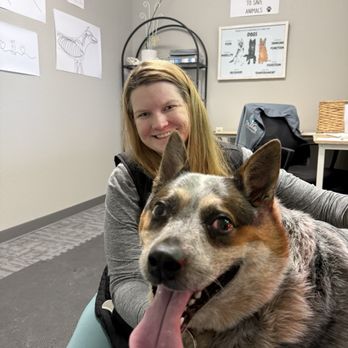 Limitless Chiropractic - Dr. Molly treating my dog Blue. - Holistic Animal Care Near Me - Bentonville, Arkansas Limitless Chiropractic - Dr. Molly treating my dog Blue. - Holistic Animal Care Near Me - Bentonville, Arkansas