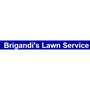 Photo of Brigandi's Lawn Service