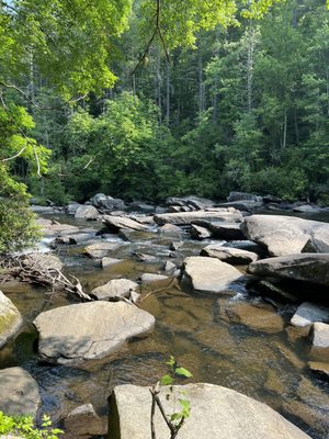 DuPont State Recreational Forest by null