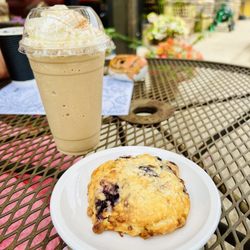 BlueNose Coffee - Chai Frappe & White Chocolate Blueberry Scone