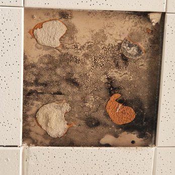 Bj S Kountry Kitchen Closed 56 Photos 112 Reviews Breakfast Brunch 4944 N Blackstone Ave Fresno Ca Restaurant Reviews