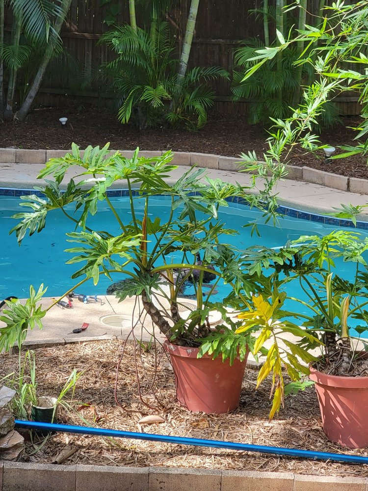 AQUAMAN LEAK DETECTION Updated October 2024 19 Photos & 24 Reviews