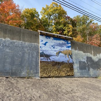 Dinosaur Footprints - Parks Near Me - Holyoke, Massachusetts
