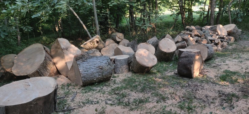 Sky Tree Care - tree service in Camby, IN