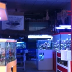 Nosy Be Import - Intérieur du magasin