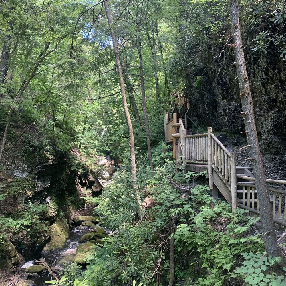Bushkill Falls - It was nice.. quit the walk tho !! - Tours Near Me - Bushkill, Pennsylvania