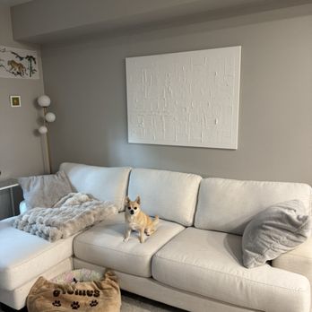 Aby's Upholstery - Our new sofa cushions! - Furniture Reupholstery Near Me - San Jose, California Aby's Upholstery - Our new sofa cushions! - Furniture Reupholstery Near Me - San Jose, California