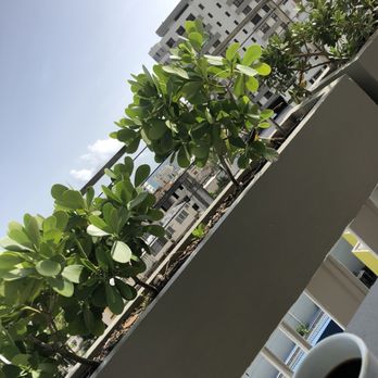 The Wave Hotel Condado - Rooftop views. - Hotels Near Me - San Juan, Puerto Rico The Wave Hotel Condado - Rooftop views. - Hotels Near Me - San Juan, Puerto Rico