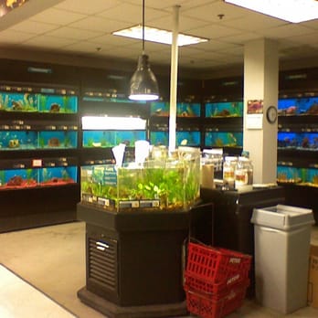 Petco - fish area - Pet Stores Near Me - San Diego, California