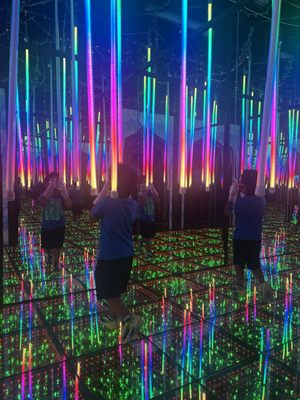 Ripley’s Mirror Maze by null