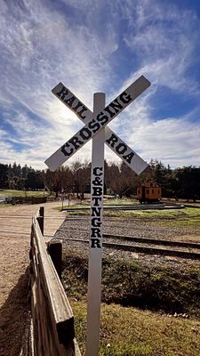Roaring Camp by null