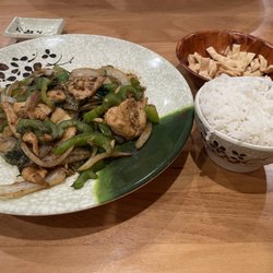 Fusion Asian Bistro - Thai Spicy Basil Leaf Stir Fry with Chicken