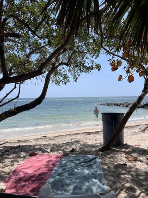 Historic Virginia Key Beach Park by null