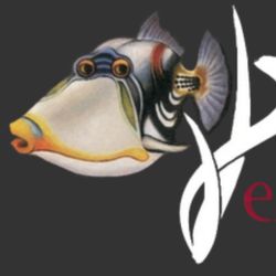 Picasso Exotic Aquatics