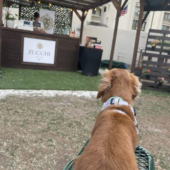 Zucchi Pizza - Pizza Near Me - Honolulu, Hawaii