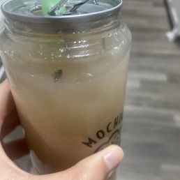 Bug in drink. Bug in drink.