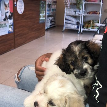 Haiku Veterinary Clinic - Pet Sitting Near Me - Kaneohe, Hawaii Haiku Veterinary Clinic - Pet Sitting Near Me - Kaneohe, Hawaii