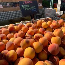 California Avenue Farmers' Market - Yellow peaches