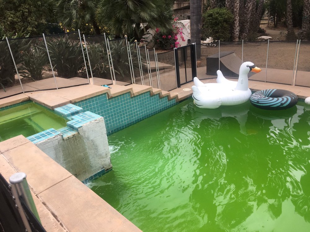 1ST AMERICAN POOLS Updated October 2024 699 Vulcan Ave 94