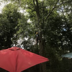 Eli Timberland Tree Service
