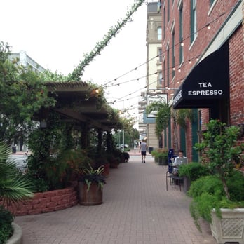 MOD Coffeehouse - So green, so pretty - Coffee & Tea Near Me - Galveston, Texas