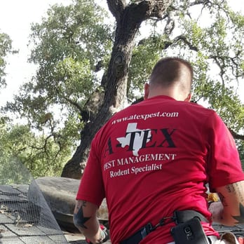 A-Tex Pest Management - Pest Control Near Me - Austin, Texas A-Tex Pest Management - Pest Control Near Me - Austin, Texas
