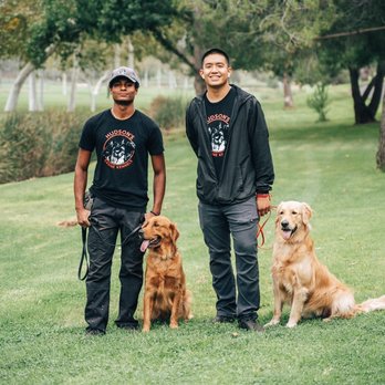 Dachs 2 Danes - Our training team at a local regional park were permitted to train at! - Pet Sitting Near Me - Anaheim, California Dachs 2 Danes - Our training team at a local regional park were permitted to train at! - Pet Sitting Near Me - Anaheim, California