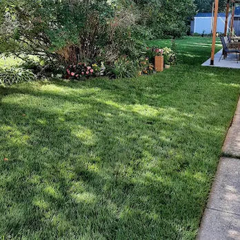 TruGreen Lawn Care - Nourish your lawn from the roots up with TruGreen's lawn fertilization in North Milwaukee, WI, and Glendale. - Tree Services Near Me - Milwaukee, Wisconsin TruGreen Lawn Care - Nourish your lawn from the roots up with TruGreen's lawn fertilization in North Milwaukee, WI, and Glendale. - Tree Services Near Me - Milwaukee, Wisconsin