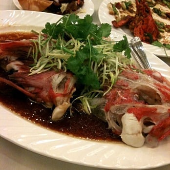 Capital Seafood - This picture didn't do this dish justice. It was so tender and the sauce was amazing. - Dim Sum Near Me - Arcadia, California Capital Seafood - This picture didn't do this dish justice. It was so tender and the sauce was amazing. - Dim Sum Near Me - Arcadia, California