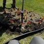 Photo of TLT Lawncare & Snow Removal